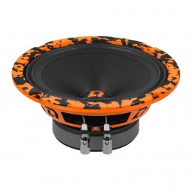 DL Audio Barracuda 165 V.2